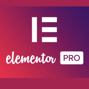 Elementor Pro 3.28.2